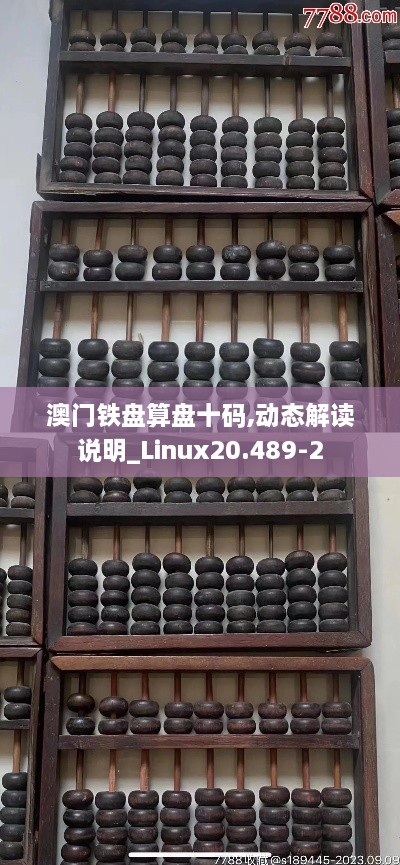 澳门铁盘算盘十码,动态解读说明_Linux20.489-2