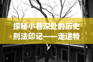 探秘小巷深处的历史刑法印记，揭秘刑法第266条背后的故事与特色小店故事展开