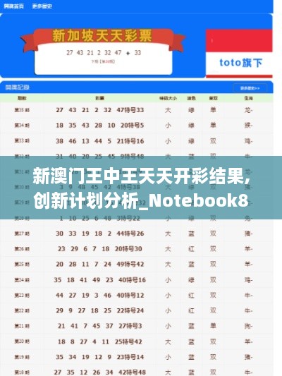 新澳门王中王天天开彩结果,创新计划分析_Notebook84.486-8