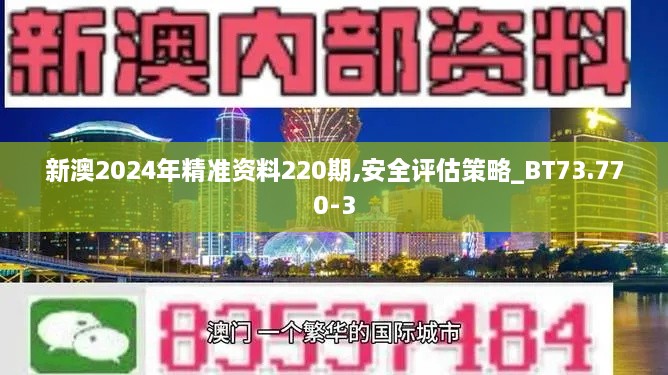 新澳2024年精准资料220期,安全评估策略_BT73.770-3