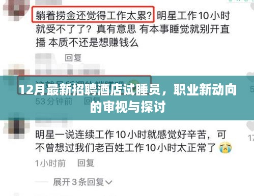 酒店试睡员新职业动向审视与探讨，12月最新招聘信息解析