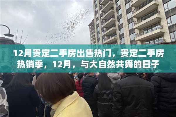 贵定二手房热销季，与大自然共舞的日子，12月购房指南