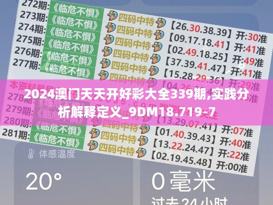 2024澳门天天开好彩大全339期,实践分析解释定义_9DM18.719-7