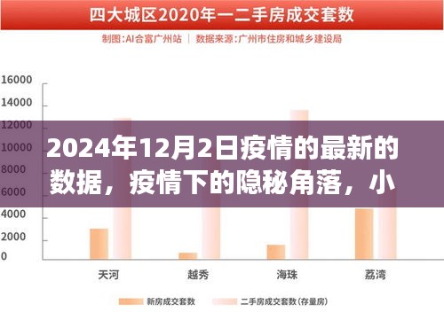 疫情下的隐秘角落，小巷特色小店与最新疫情数据报告（2024年12月）