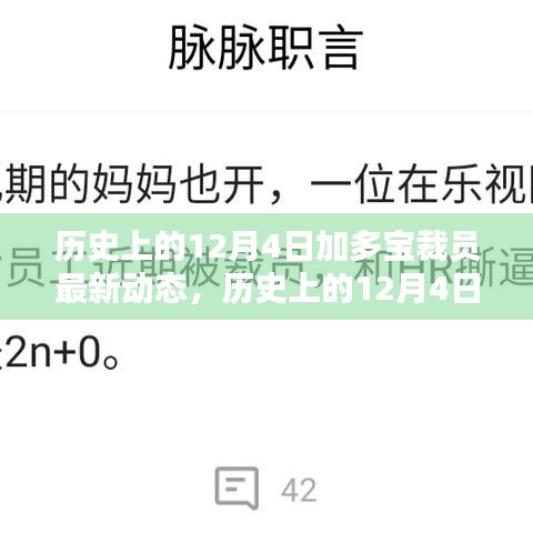 历史上的12月4日加多宝裁员最新动态，深度分析与观点阐述及其影响