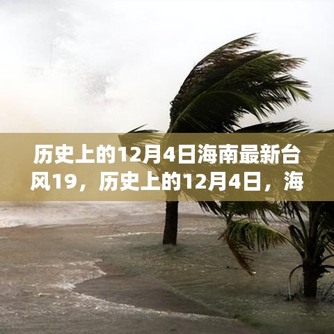 历史上的12月4日海南最新台风19，震撼与挑战