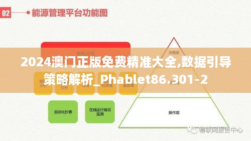 2024澳门正版免费精准大全,数据引导策略解析_Phablet86.301-2