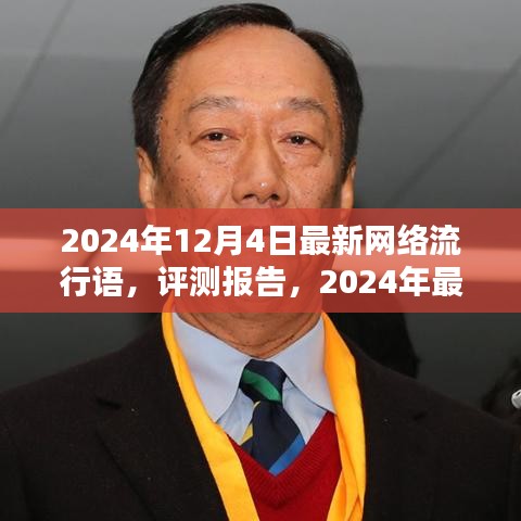 2024年最新网络流行语深度解析与体验报告，网络热词新潮流的评测与体验