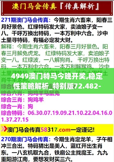 4949澳门特马今晚开奖,稳定性策略解析_特别版72.482-8