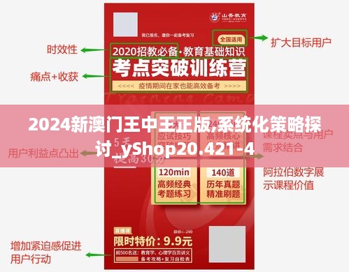 2024新澳门王中王正版,系统化策略探讨_yShop20.421-4