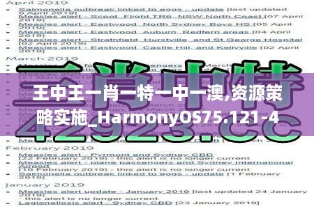 王中王一肖一特一中一澳,资源策略实施_HarmonyOS75.121-4