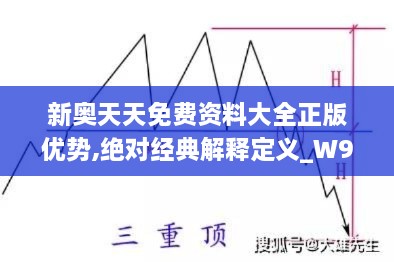 新奥天天免费资料大全正版优势,绝对经典解释定义_W93.827-7