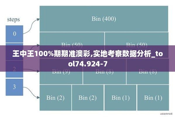 王中王100%期期准澳彩,实地考察数据分析_tool74.924-7