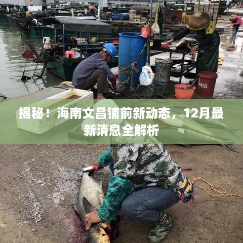 海南文昌铺前新动态揭秘，12月最新消息全解析