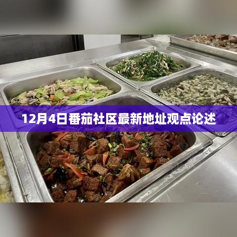 12月4日番茄社区最新地址解析与观点论述