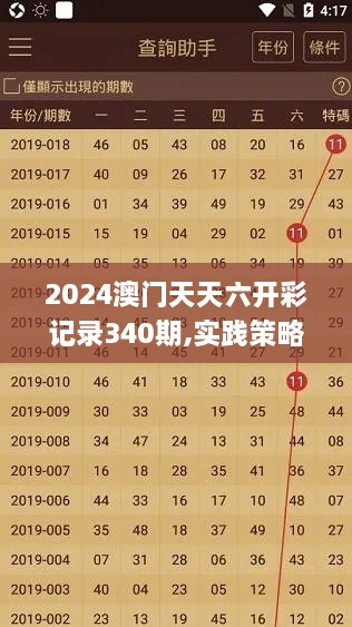 2024澳门天天六开彩记录340期,实践策略实施解析_游戏版20.369-7