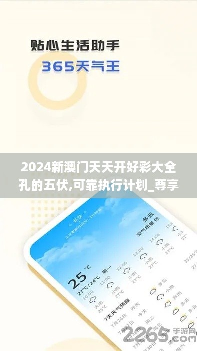 2024新澳门天天开好彩大全孔的五伏,可靠执行计划_尊享版98.973