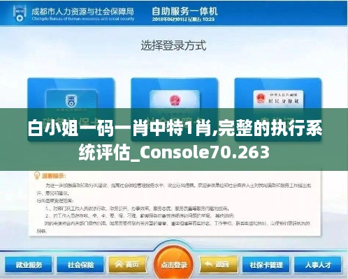 白小姐一码一肖中特1肖,完整的执行系统评估_Console70.263