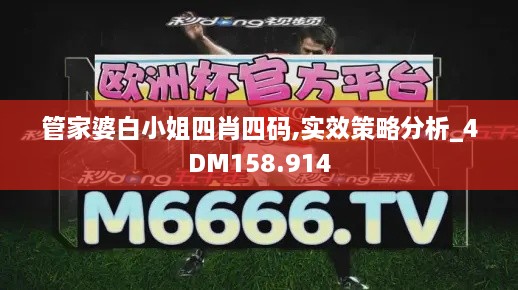 管家婆白小姐四肖四码,实效策略分析_4DM158.914