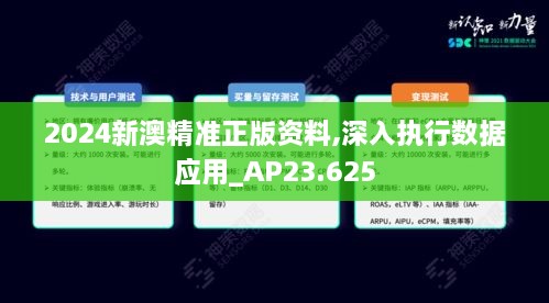 2024新澳精准正版资料,深入执行数据应用_AP23.625