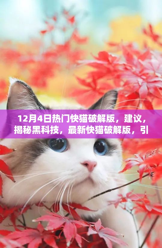 揭秘最新快猫破解版，引领科技潮流还是触碰法律红线？