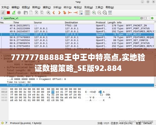 77777788888王中王中特亮点,实地验证数据策略_SE版92.884