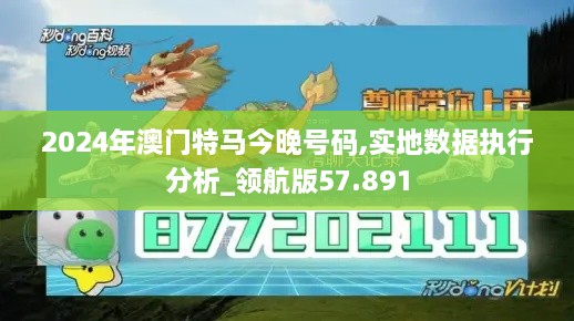 2024年澳门特马今晚号码,实地数据执行分析_领航版57.891