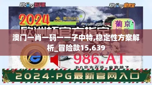 澳门一肖一码一一子中特,稳定性方案解析_冒险款15.639