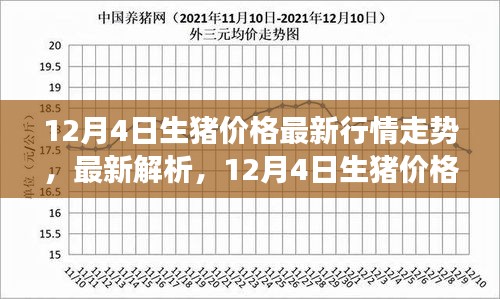 12月4日生猪价格行情最新解析及走势展望