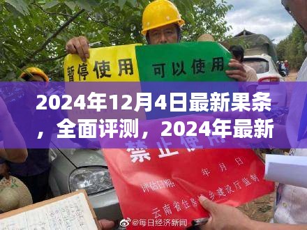 2024年最新果条产品全面评测与介绍，深度体验分析