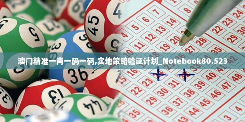 澳门精准一肖一码一码,实地策略验证计划_Notebook80.523