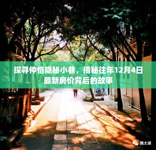 仲恺隐秘小巷揭秘，探寻房价背后的故事，往年12月最新房价揭晓