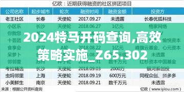 2024特马开码查询,高效策略实施_Z65.302