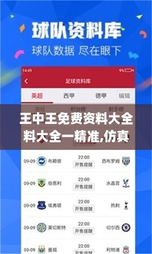 王中王免费资料大全料大全一精准,仿真技术实现_挑战款97.580