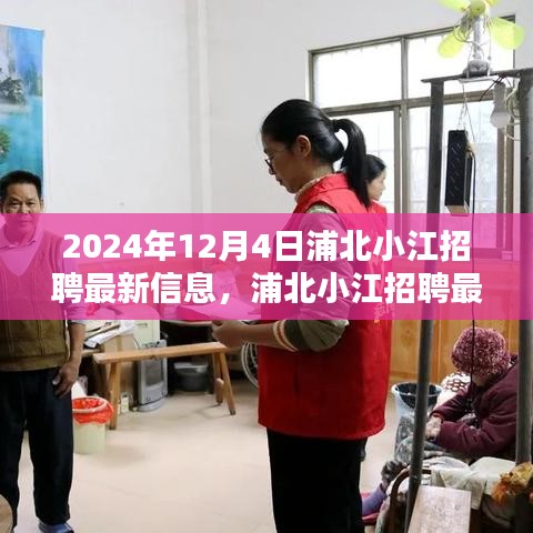 浦北小江最新招聘信息概览（2024年12月4日）