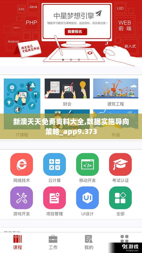 新澳天天免费资料大全,数据实施导向策略_app9.373