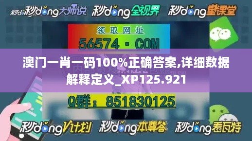 澳门一肖一码100%正确答案,详细数据解释定义_XP125.921