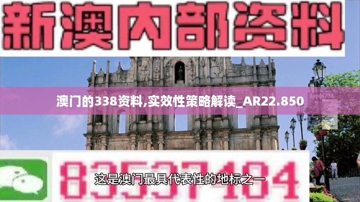 澳门的338资料,实效性策略解读_AR22.850