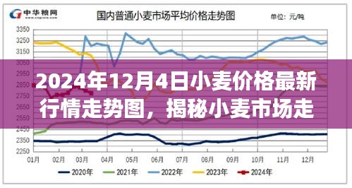 揭秘小麦市场走势，最新行情分析与价格走势图（2024年12月4日）