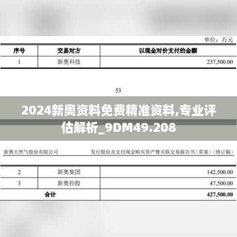 2024新奥资料免费精准资料,专业评估解析_9DM49.208