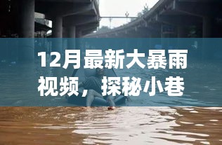 大暴雨下的美食宝藏，小巷深处的味蕾奇迹