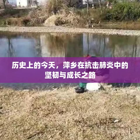 萍乡抗击肺炎历程，坚韧与成长之路的今日回顾