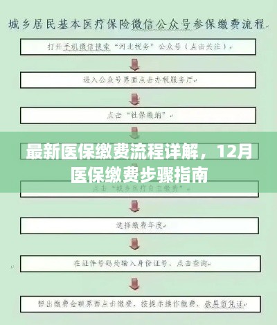 最新医保缴费流程详解，12月医保缴费步骤指南