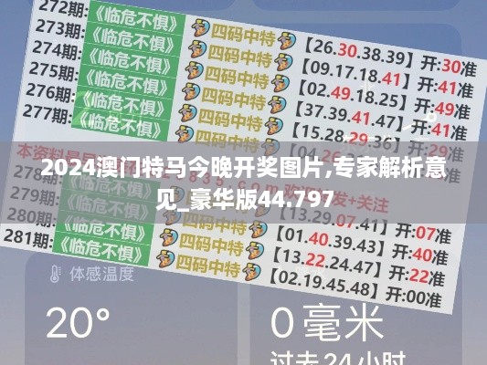 2024澳门特马今晚开奖图片,专家解析意见_豪华版44.797