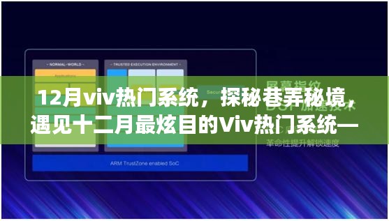 探秘巷弄秘境，十二月Viv热门系统特色小店