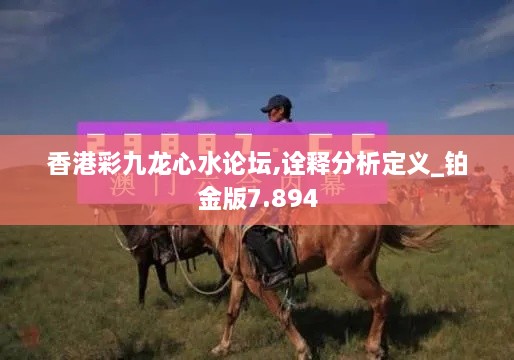 香港彩九龙心水论坛,诠释分析定义_铂金版7.894