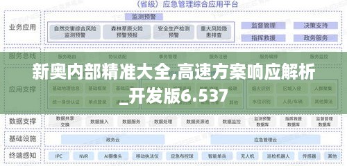 新奥内部精准大全,高速方案响应解析_开发版6.537