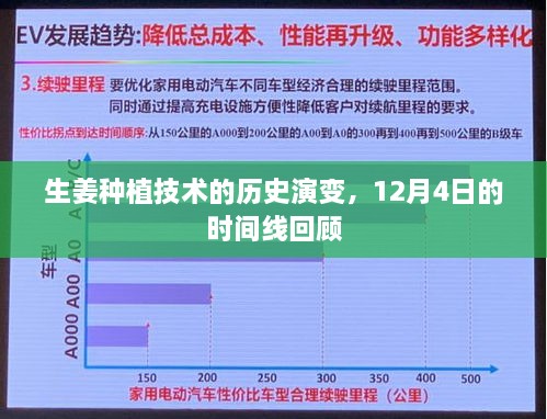 生姜种植技术历史演变回顾，时间线揭秘生姜种植技术的演变历程（12月4日回顾）