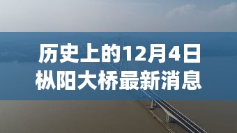 历史上的12月4日，枞阳大桥最新进展与深度评测揭秘