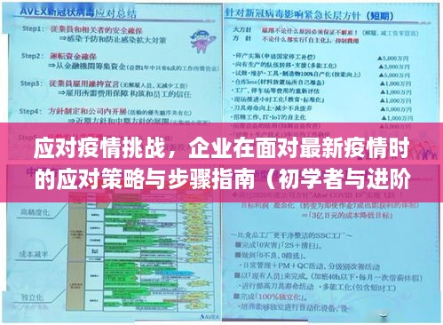 企业应对疫情挑战，策略与步骤指南（初学者与进阶用户必备）